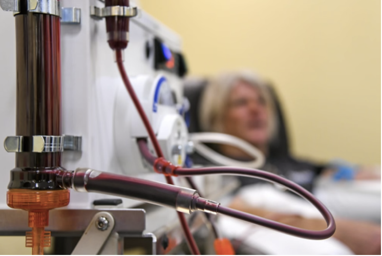 EBOO Therapy Machine